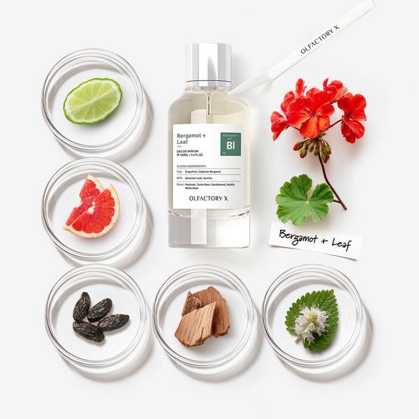 OLFACTORY X Bergamot + Leaf Eau de Parfum #5