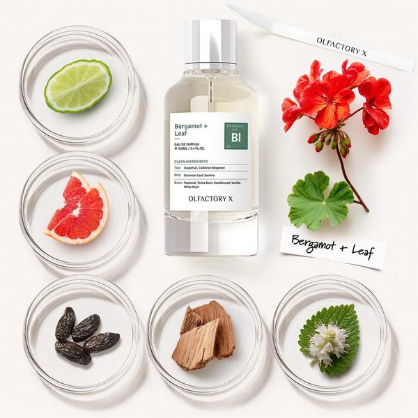 OLFACTORY X Bergamot + Leaf Eau de Parfum #7