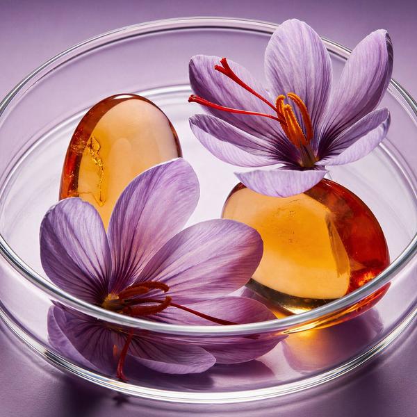 OLFACTORY X Saffron + Amber Eau de Parfum #7