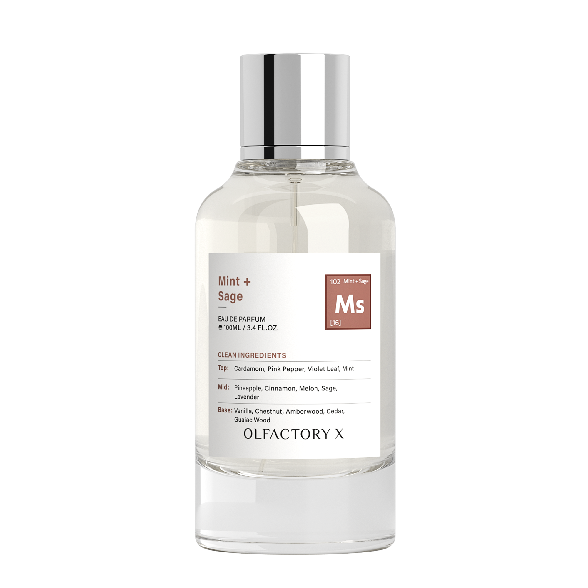 OLFACTORY X Mint + Sage Eau de Parfum #1