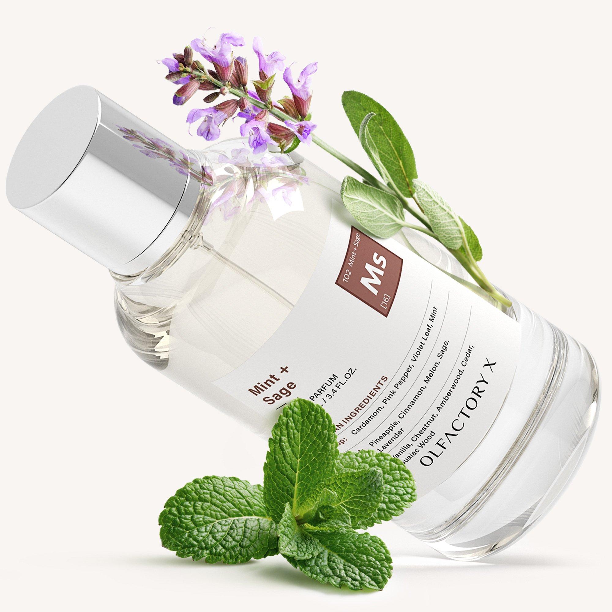OLFACTORY X Eau de Parfum - Thumbnail 5