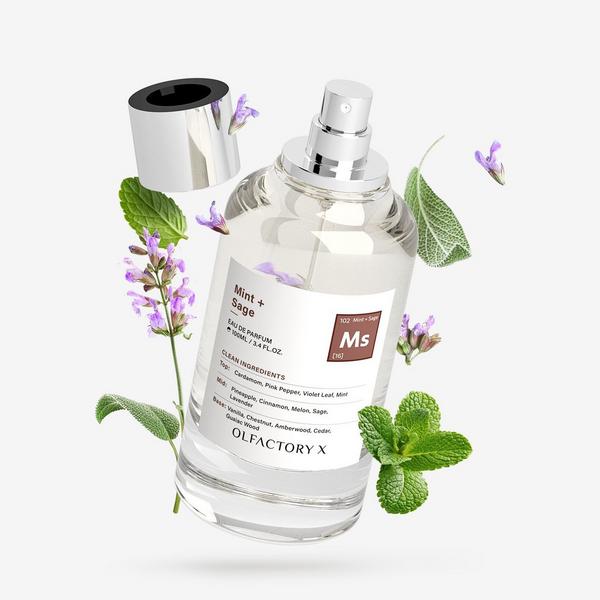 OLFACTORY X Mint + Sage Eau de Parfum #3