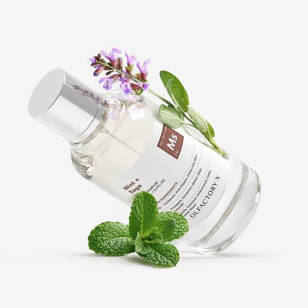 OLFACTORY X Mint + Sage Eau de Parfum #4
