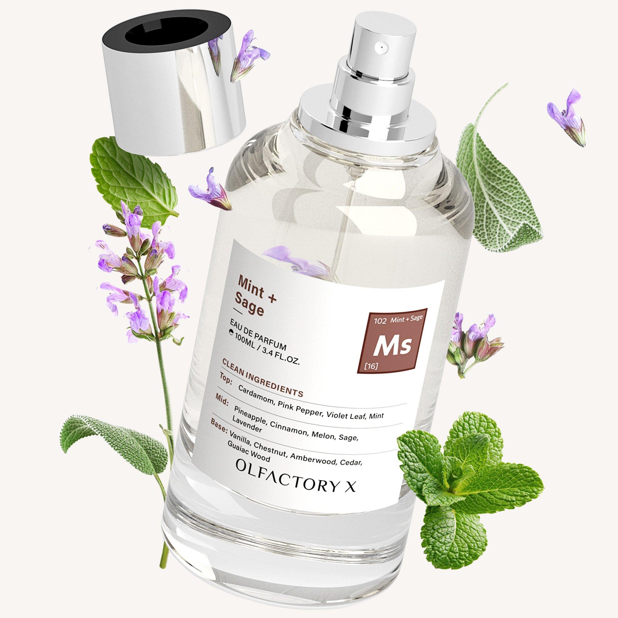 OLFACTORY X Eau de Parfum - Thumbnail 2