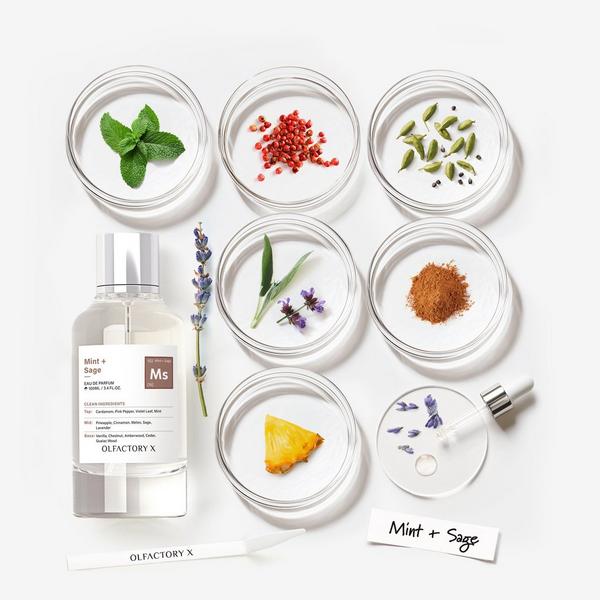 OLFACTORY X Mint + Sage Eau de Parfum #5