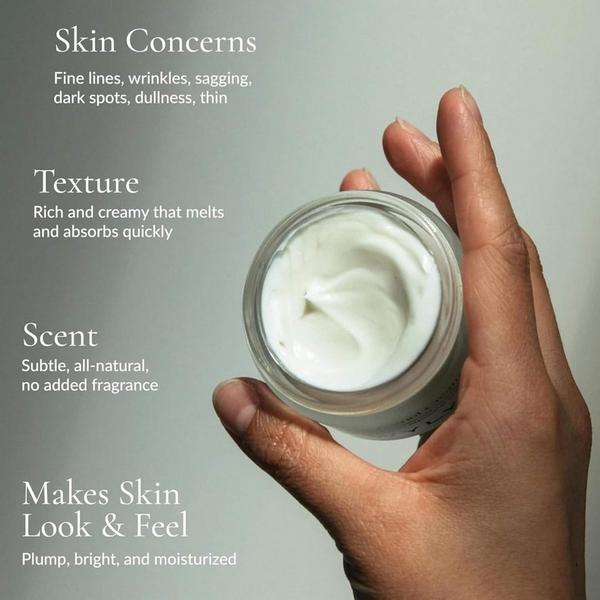 WYLYS Nightinol Cream #4