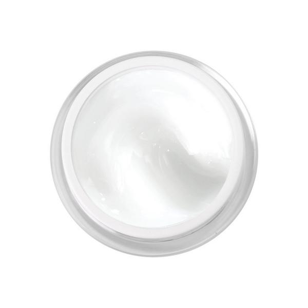 Dermelect Flawless Bakuchiol Treatment #2