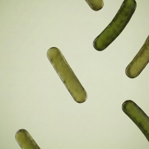 Superegg Tonal Scenery Reparative Serum #7