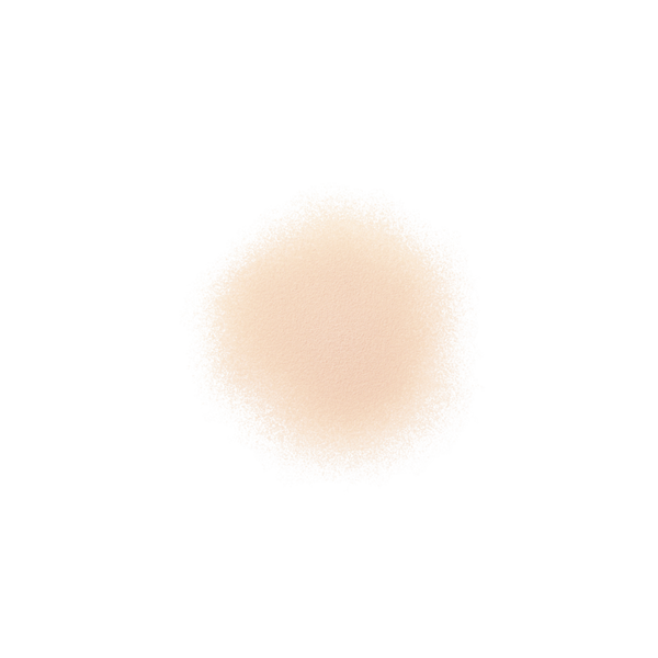 Decorté Loose Powder Translucent Setting Powder Mini #3