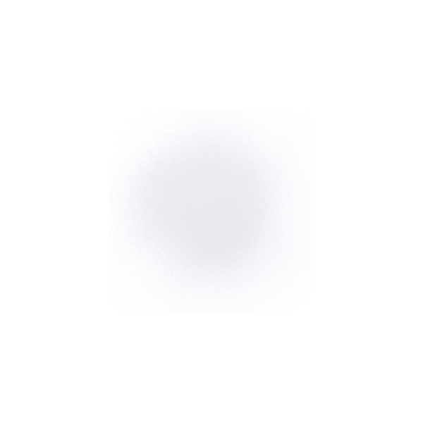 Decorté Loose Powder Translucent Setting Powder #2