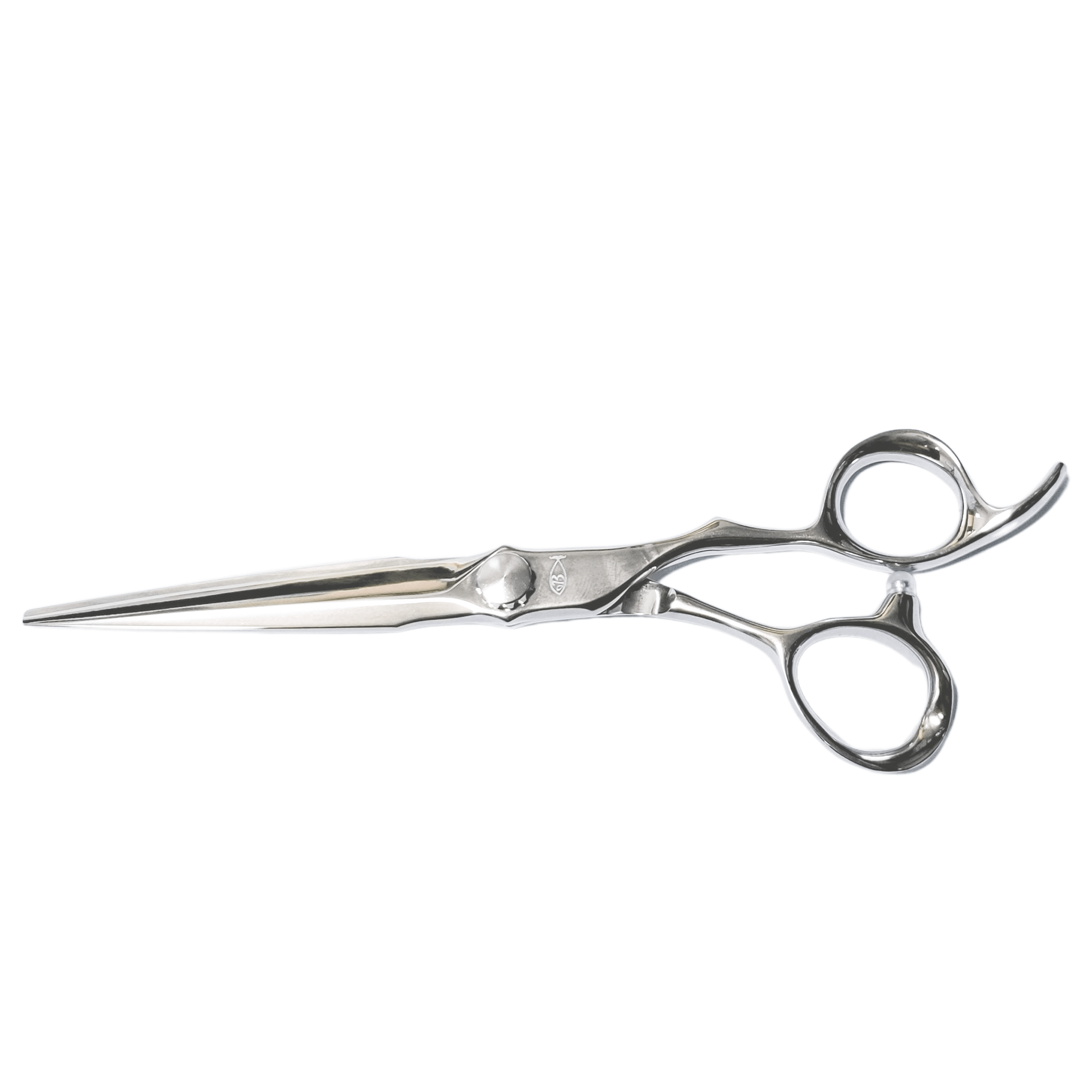 Bonika Shears Innovation Shears #1