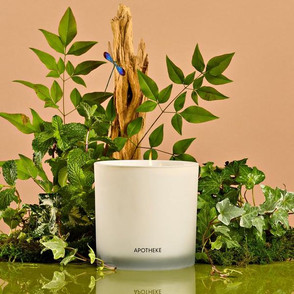APOTHEKE Wild Mint and Ivy 3-Wick Scented Candle #3