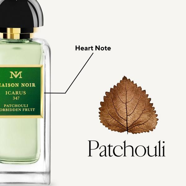 Maison Noir Icarus 347 Eau De Parfum #3
