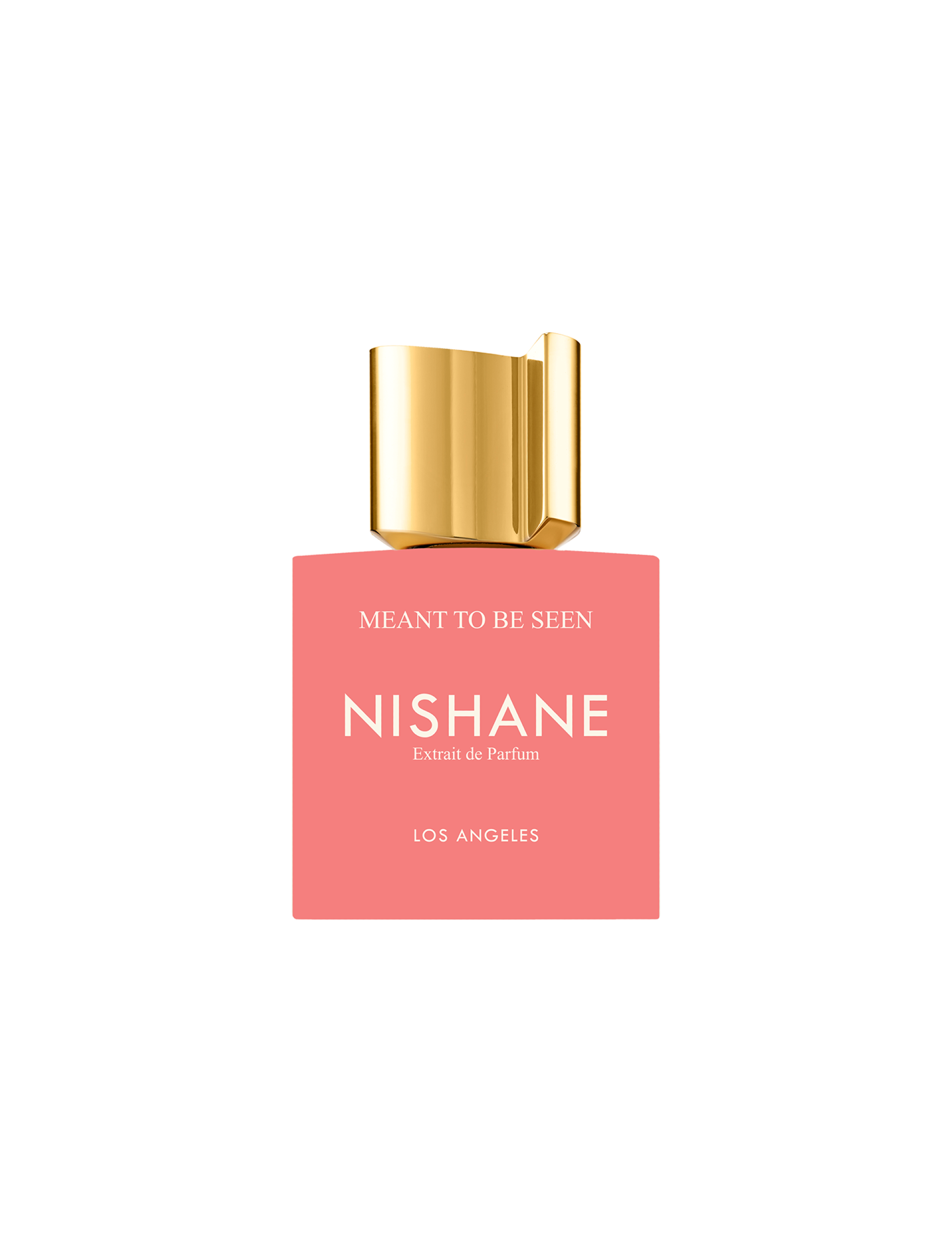 Nishane Meant To Be Seen Extrait de Parfum #1