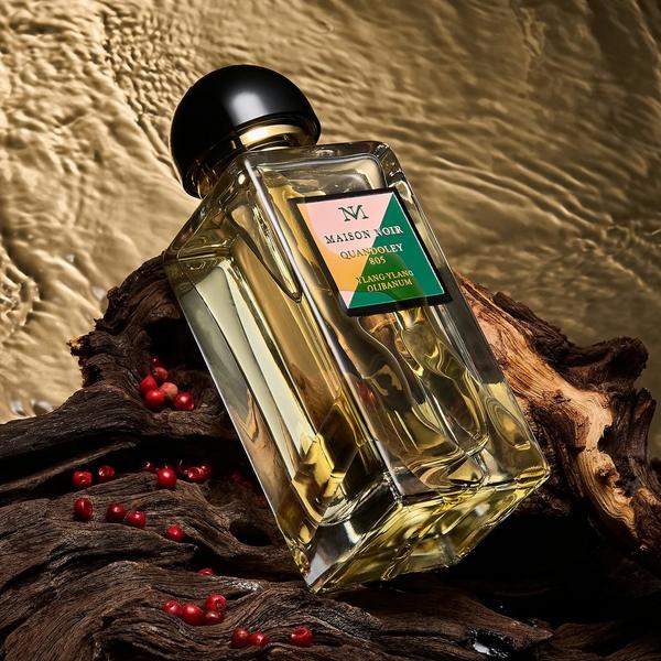 Maison Noir Quandoley 805 Eau De Parfum #6