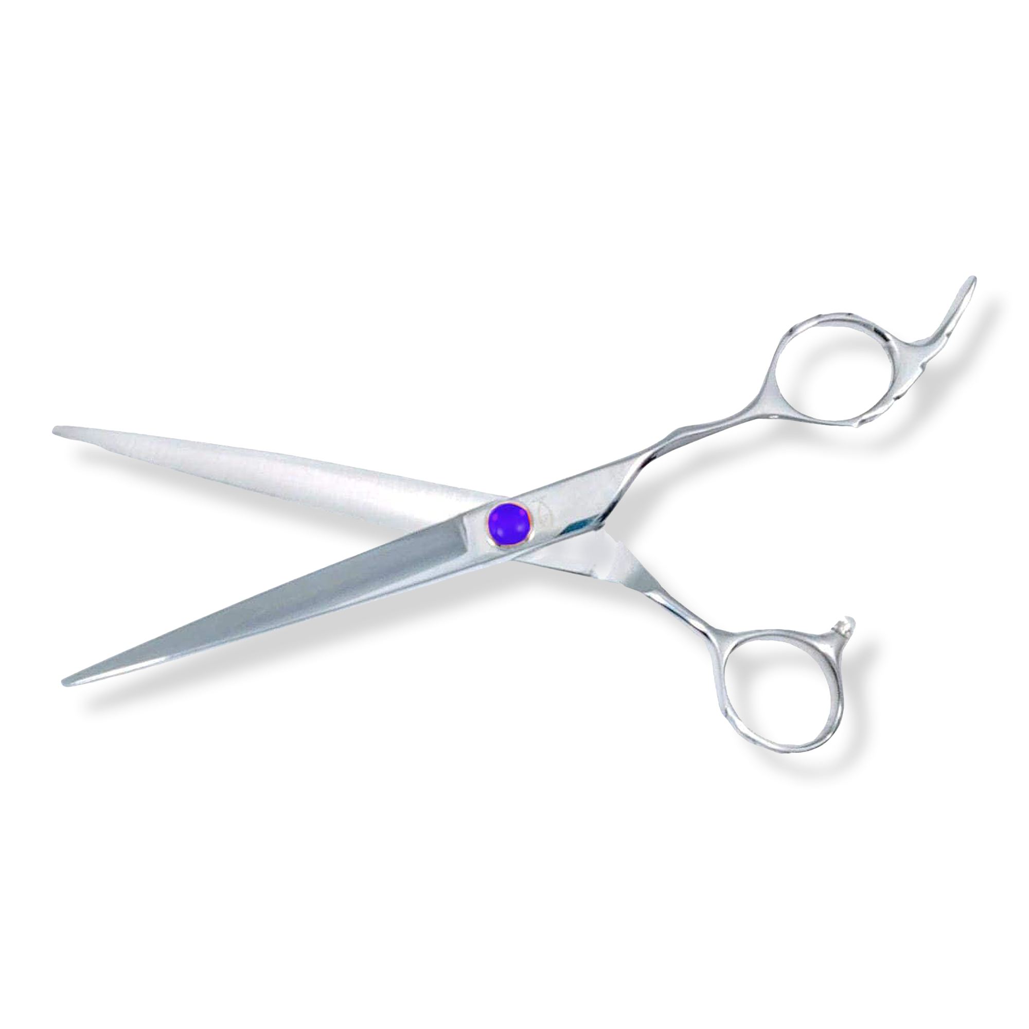Bonika Shears Chameleon Blue Shears #1