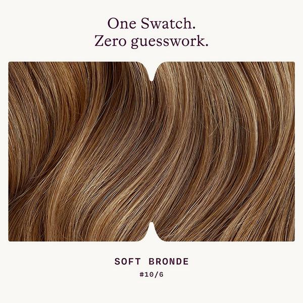 Sitting Pretty Halo Hair Extensions Color Swatch #3