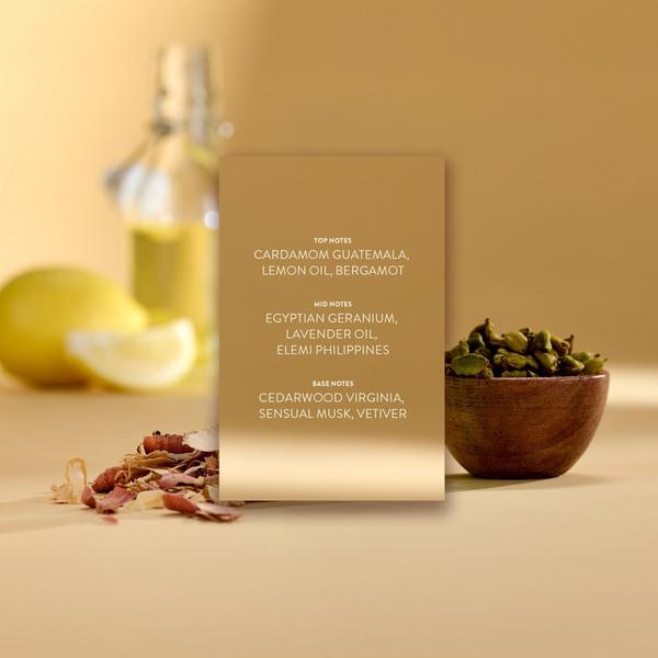 Michael Malul Citizen Jack Mohave Men's Eau de Parfum #4