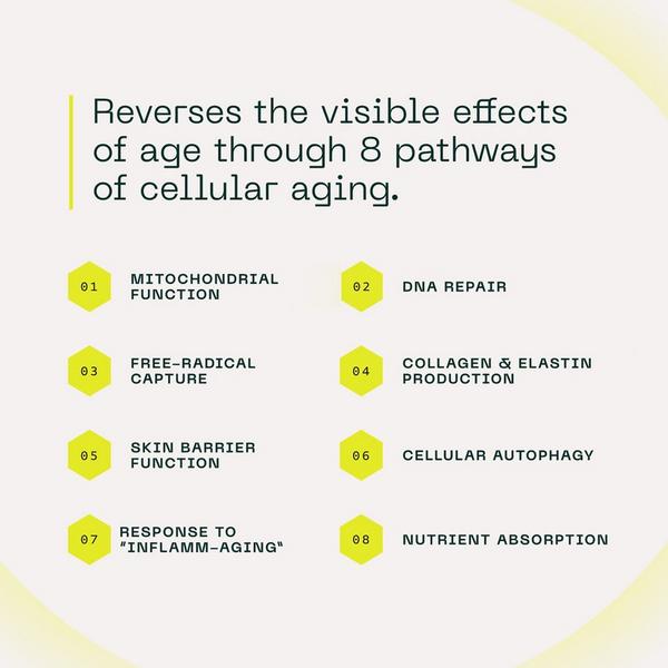 Aramore NAD+ Cell Energizing Duo #4