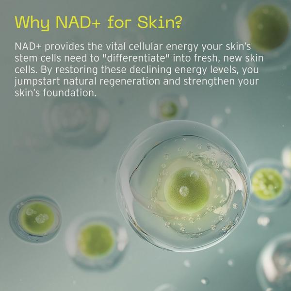 Aramore NAD+ Cell Restoration Cream #7