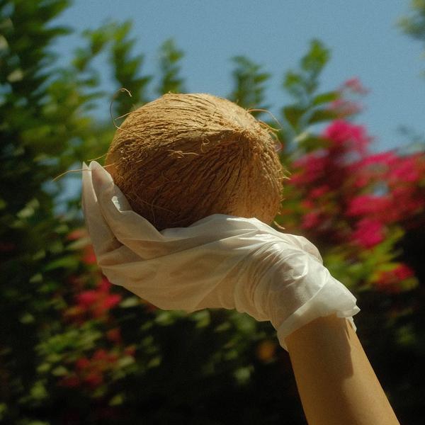 Lapcos Coconut Milk Hand Mask 5-Pack #2