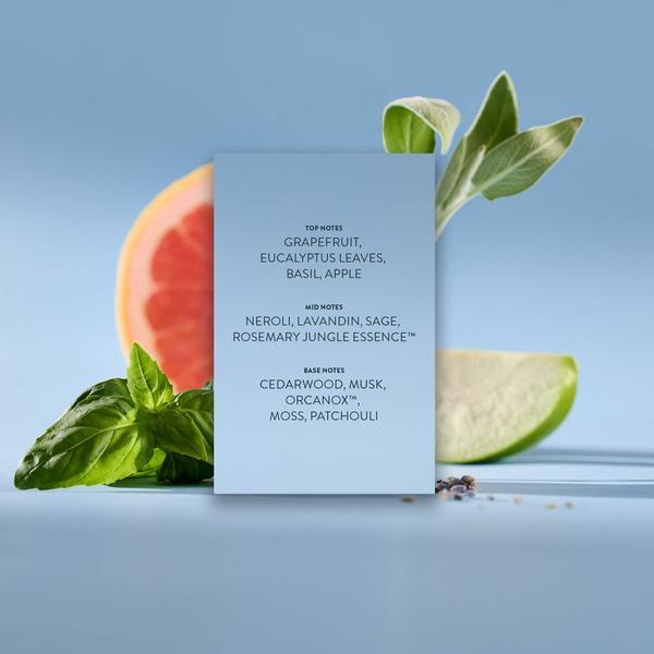 Michael Malul Sea + Zephyr Men's Eau de Parfum #4