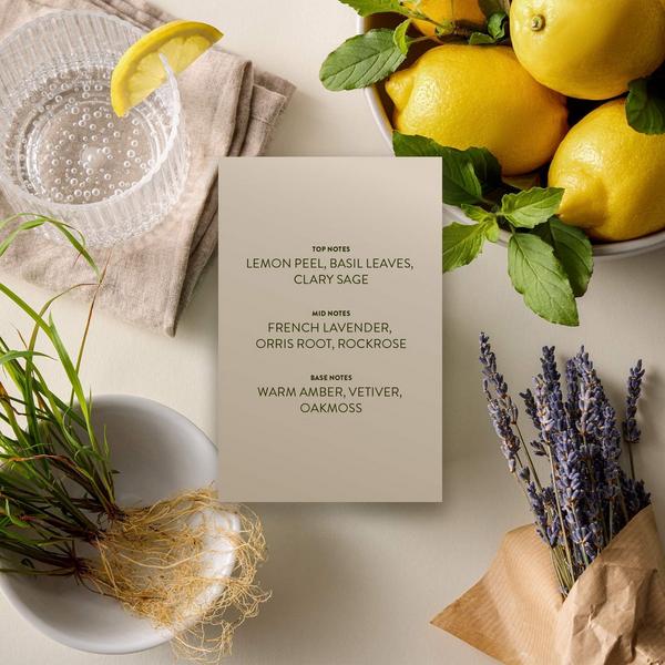 Michael Malul Zest + Vetiver Men's Eau de Parfum #4