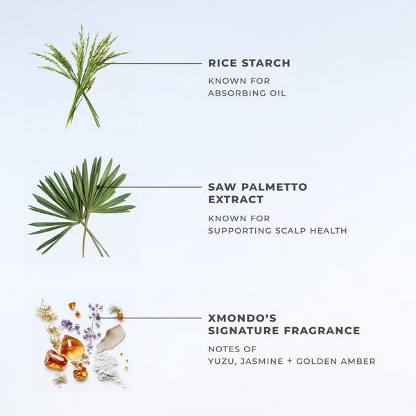 XMONDO BOOST X Dry Shampoo + Scalp Care #6