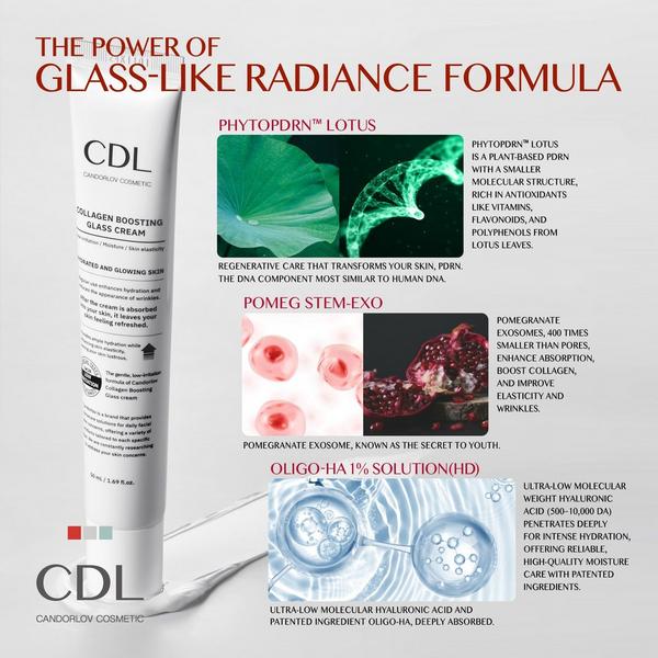 Candorlov Collagen Boosting Glass Cream #4