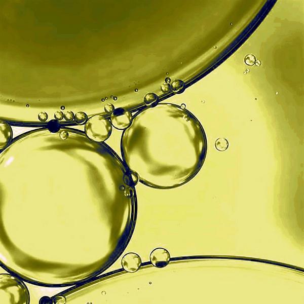 Humanist Beauty Herban Wisdom Facial Oil #2