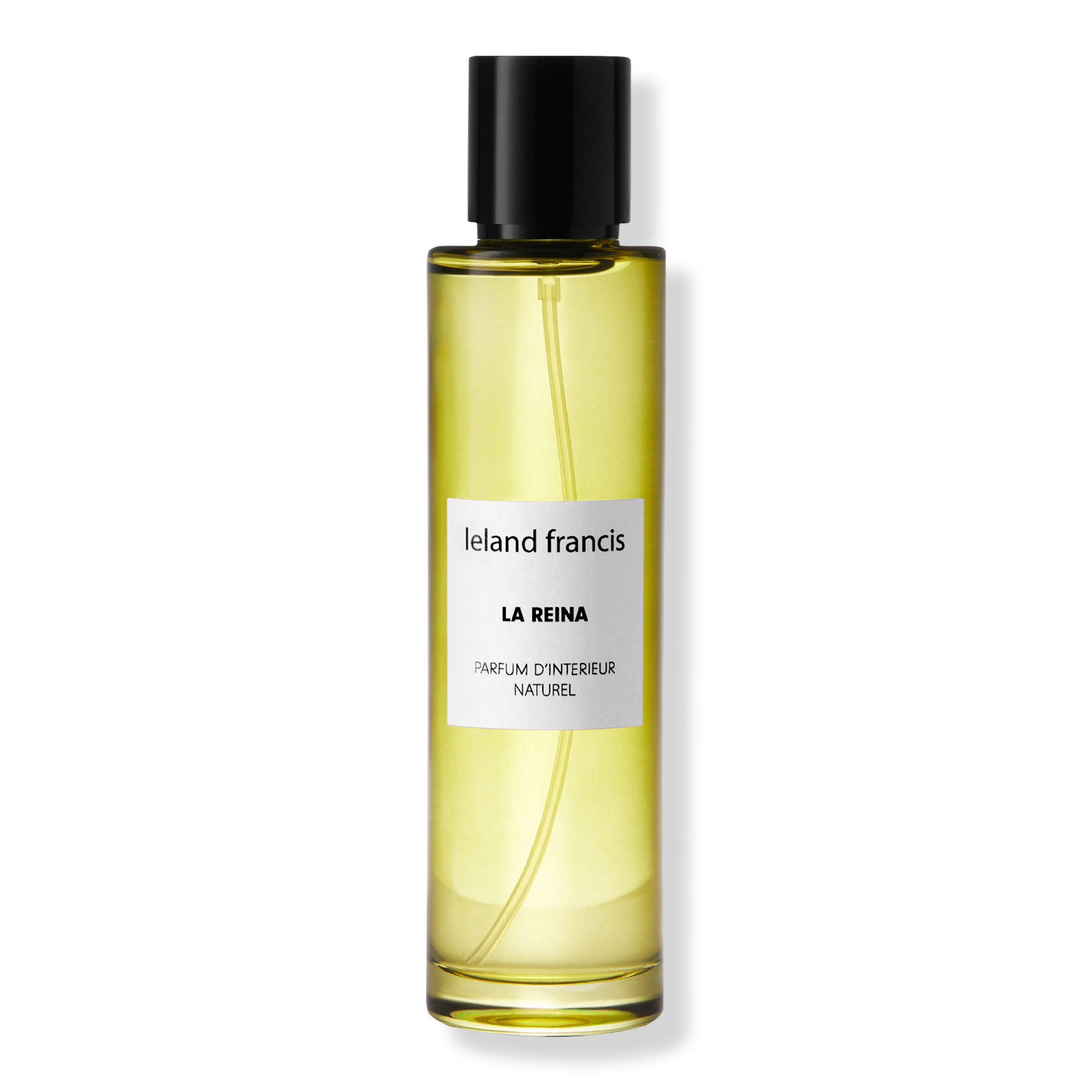 Leland Francis La Reina - Room Spray #1