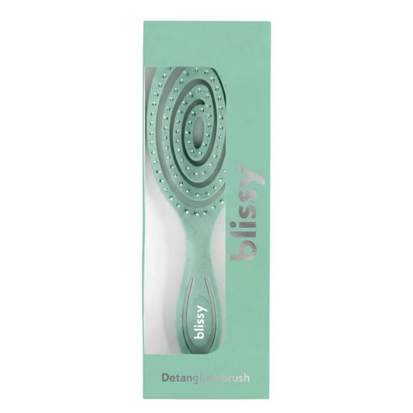 Blissy Detangling Brush #2
