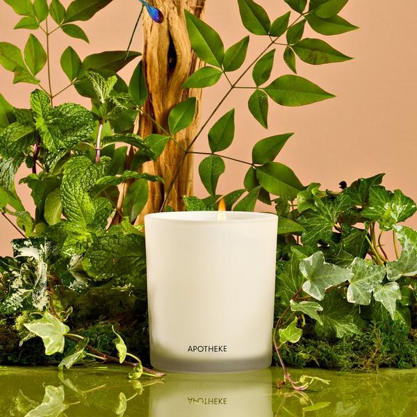 APOTHEKE Wild Mint and Ivy Scented Candle #2