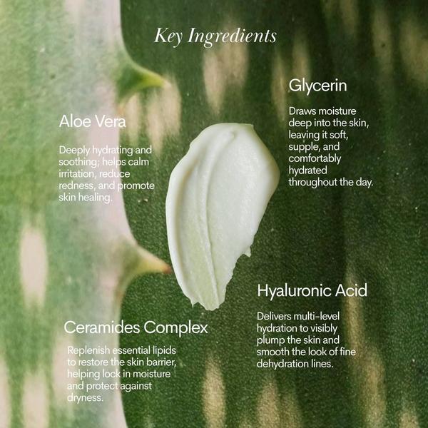 Daily Habits Reset Moisturizer #3