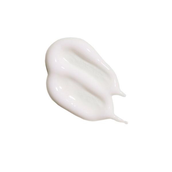 Jackfir The Evergreen Eye Cream #3