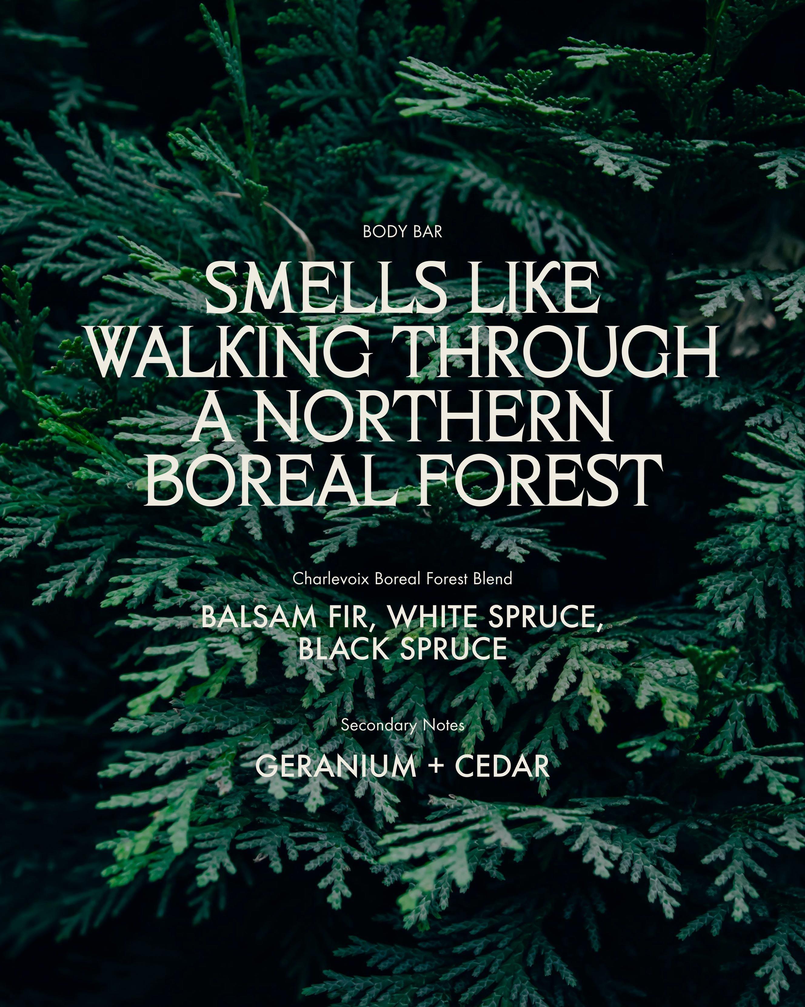 Мыло-брусок для тела Sans Savon Charlevoix Boreal Forest Blend — фото 4