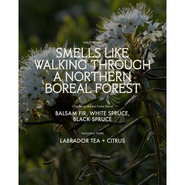 Sans Savon Hand Wash Charlevoix Boreal Forest Blend #4