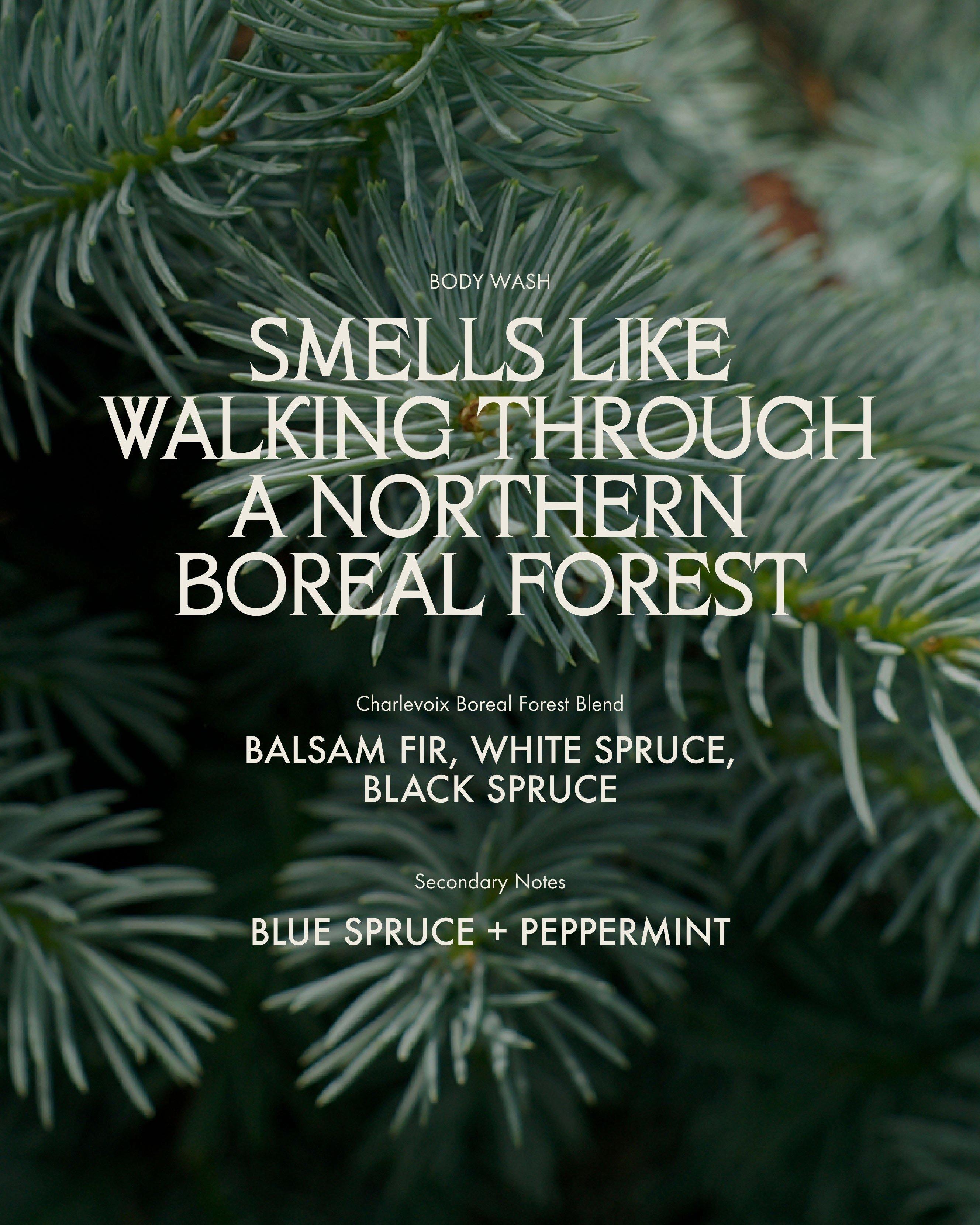 Гель для душа Sans Savon Charlevoix Boreal Forest Blend — фото 4