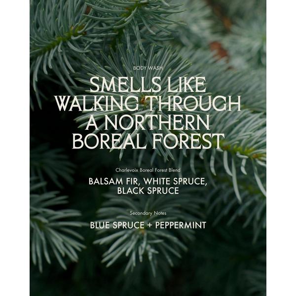 Sans Savon Body Wash Charlevoix Boreal Forest Blend #4