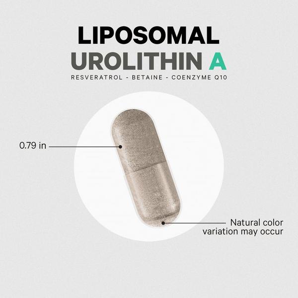 CODEAGE Liposomal Urolithin A with Resveratrol & CoQ10 #6