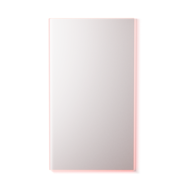 BodyGuardz Red Light Converter #2