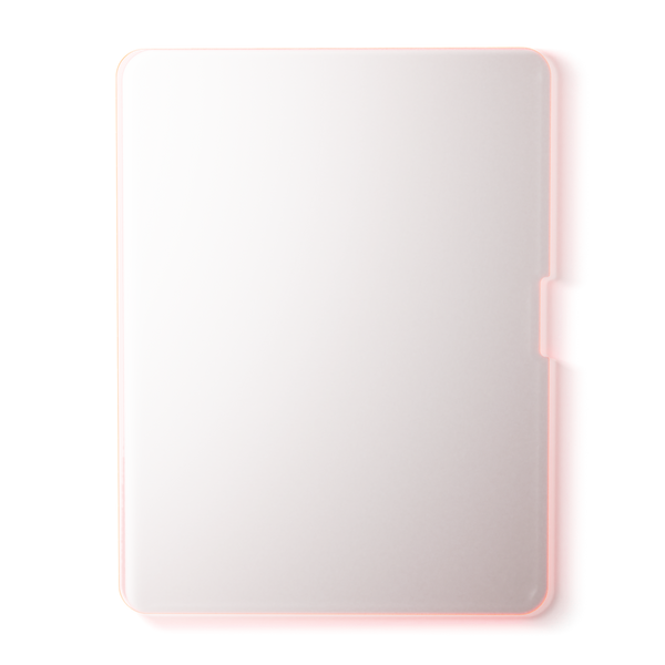 BodyGuardz Red Light Converter #2