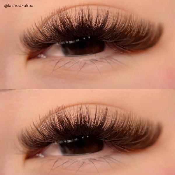 élan beauté & supplies Dark Brown Cashmere Lash Tray #6