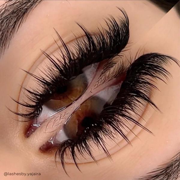 élan beauté & supplies Dark Brown Cashmere Lash Tray #5