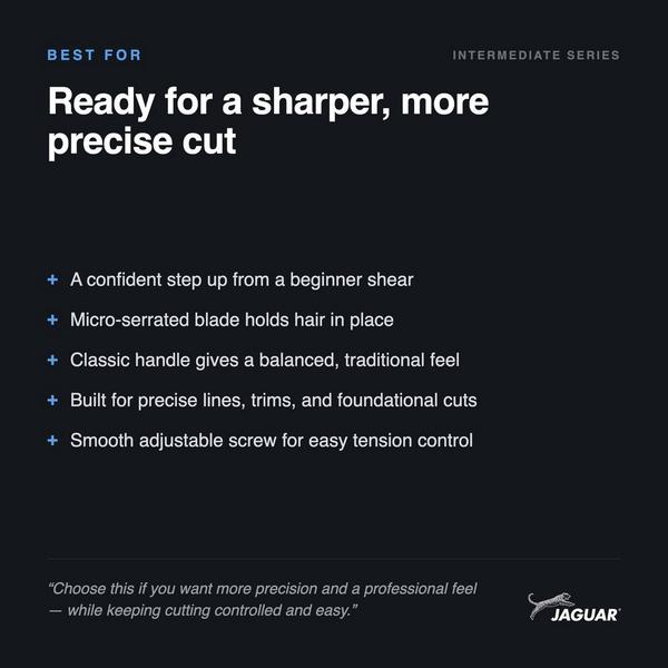 Jaguar Silver Ice Shear #3