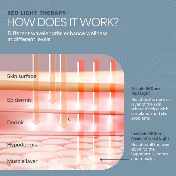 Lifepro AllevaGlove Red Light Therapy Glove #2