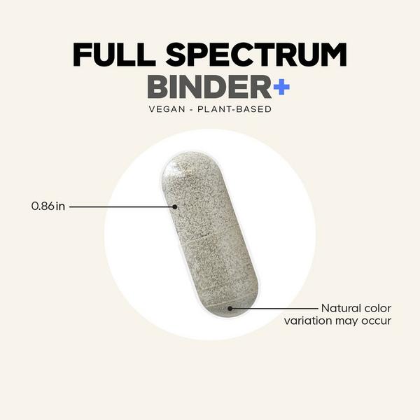CODEAGE Full Spectrum Binder #6