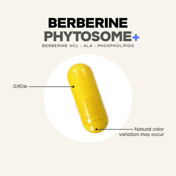 CODEAGE Berberine Phytosome #6