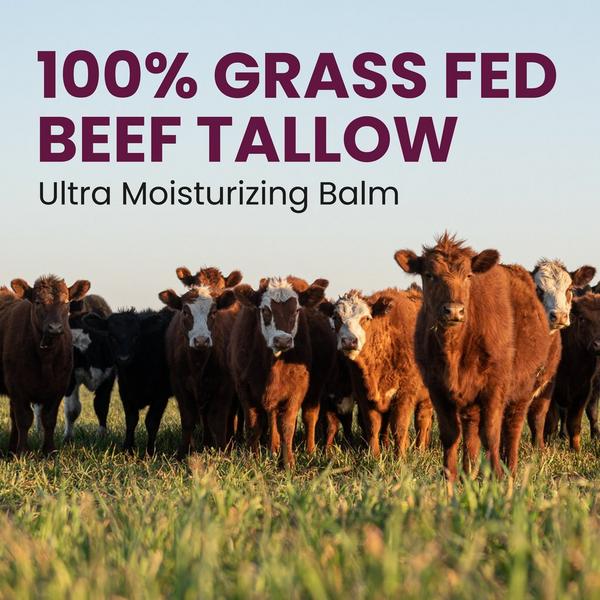M3 Scented Beef Tallow Balm #6