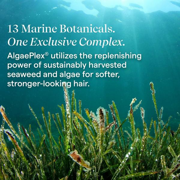 Aquage Defining Gel #6